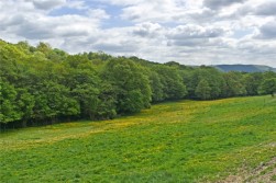 Nantmel, Rhayader, Powys