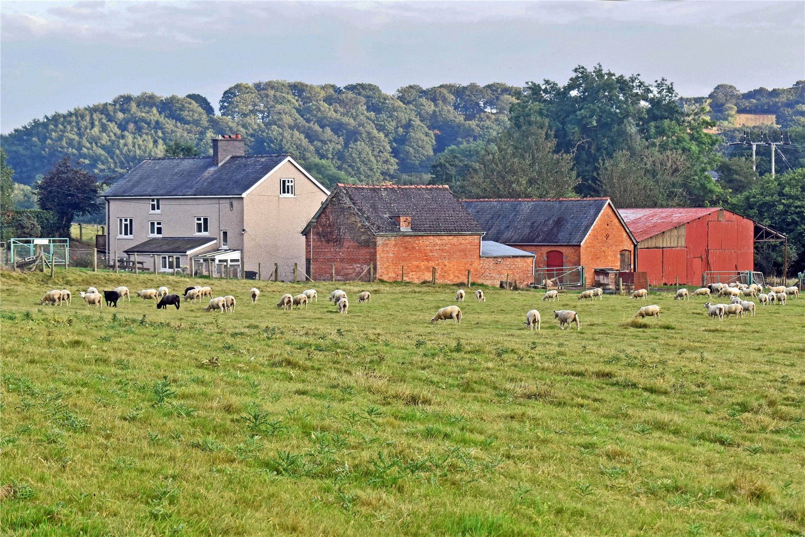 Powys
