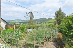 Penybont, Llandrindod Wells