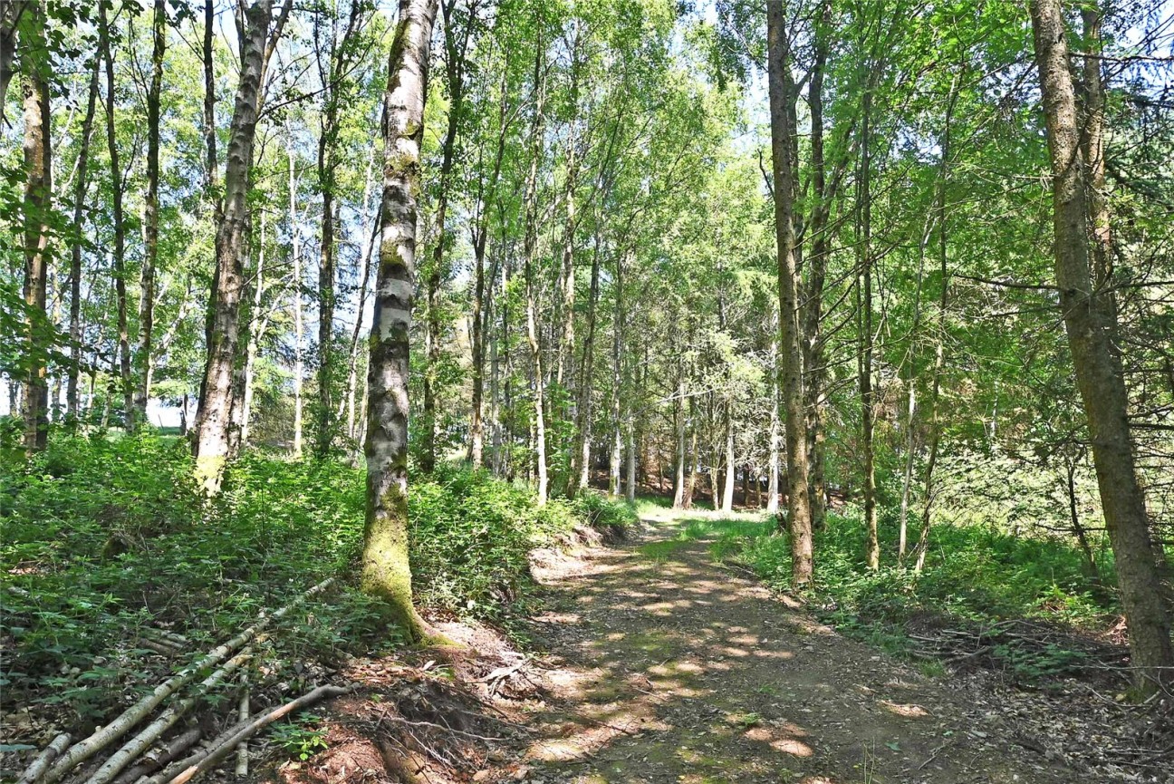 Penybont, Llandrindod Wells