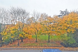 Llandrindod Wells, Powys