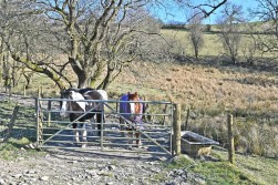 Llandrindod Wells, Powys