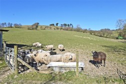 Llandrindod Wells, Powys