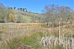 Llandrindod Wells, Powys