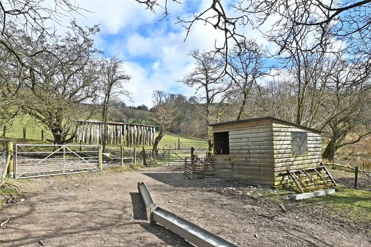 Llandrindod Wells, Powys