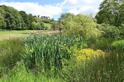 Llandrindod Wells, Powys