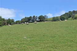 Llandrindod Wells, Powys