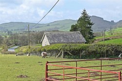 Builth Wells, Powys