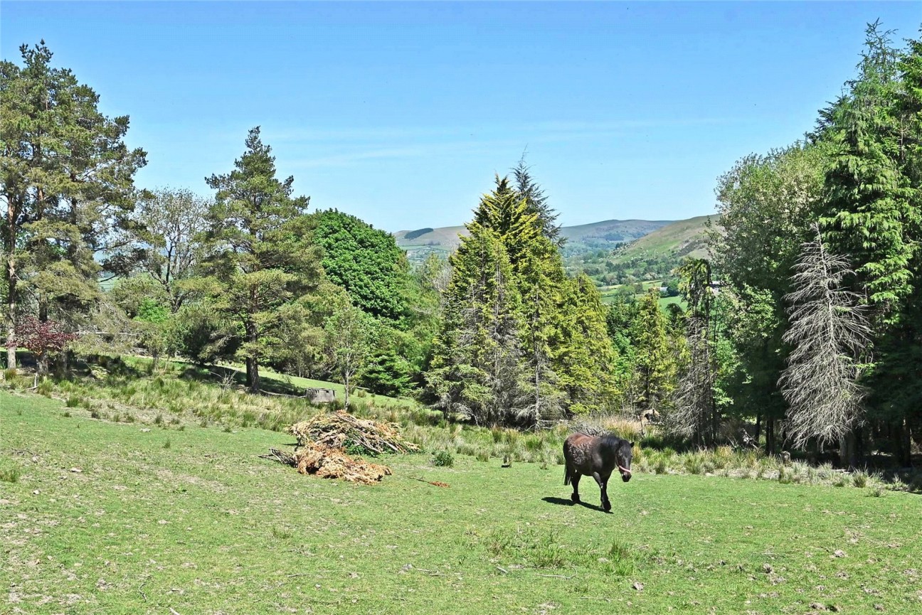 Cefnllys, Penybont, Llandrindod Wells