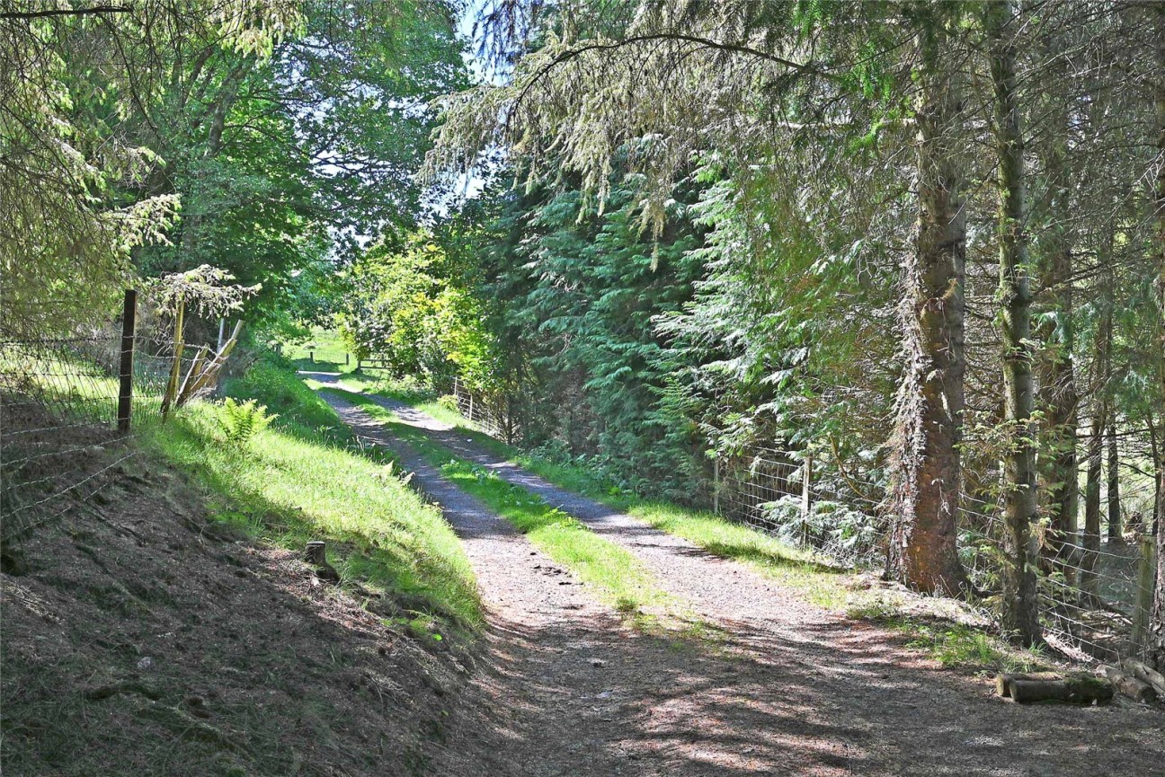 Cefnllys, Penybont, Llandrindod Wells
