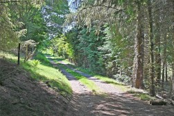 Cefnllys, Penybont, Llandrindod Wells