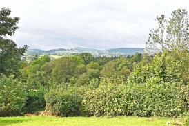 Rock Road, Crossgates, Llandrindod Wells