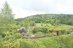 Llanwrytd Wells