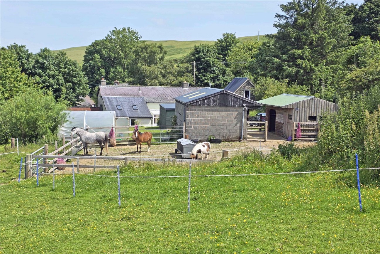 Llandrindod Wells, Powys