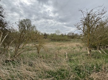 Land To The North Of Harlow Mill , Cambridge Road, Harlow, Essex
