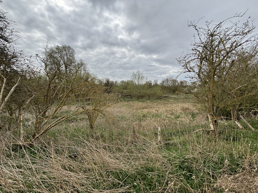0 bedroom Commercial Property for Sale Land To The North Of Harlow Mill , Cambridge Road, Harlow, Essex