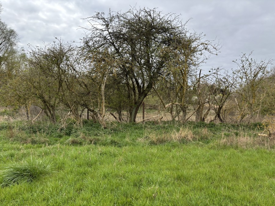 Land To The North Of Harlow Mill , Cambridge Road, Harlow, Essex