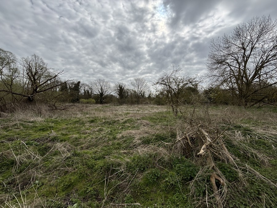 Land To The North Of Harlow Mill , Cambridge Road, Harlow, Essex