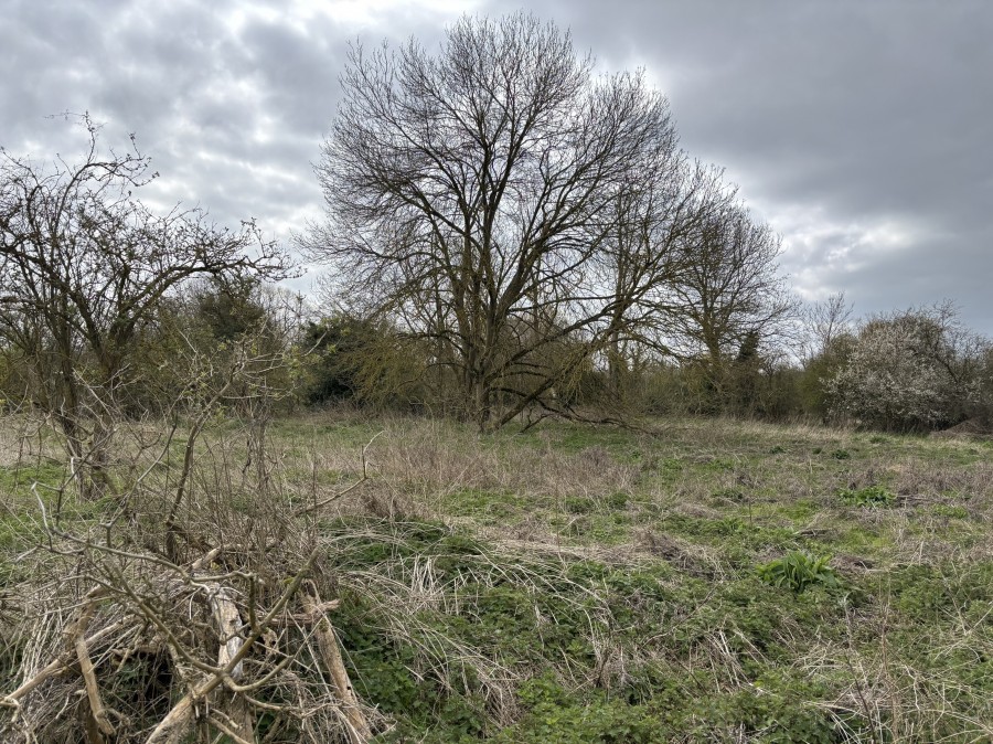 Land To The North Of Harlow Mill , Cambridge Road, Harlow, Essex