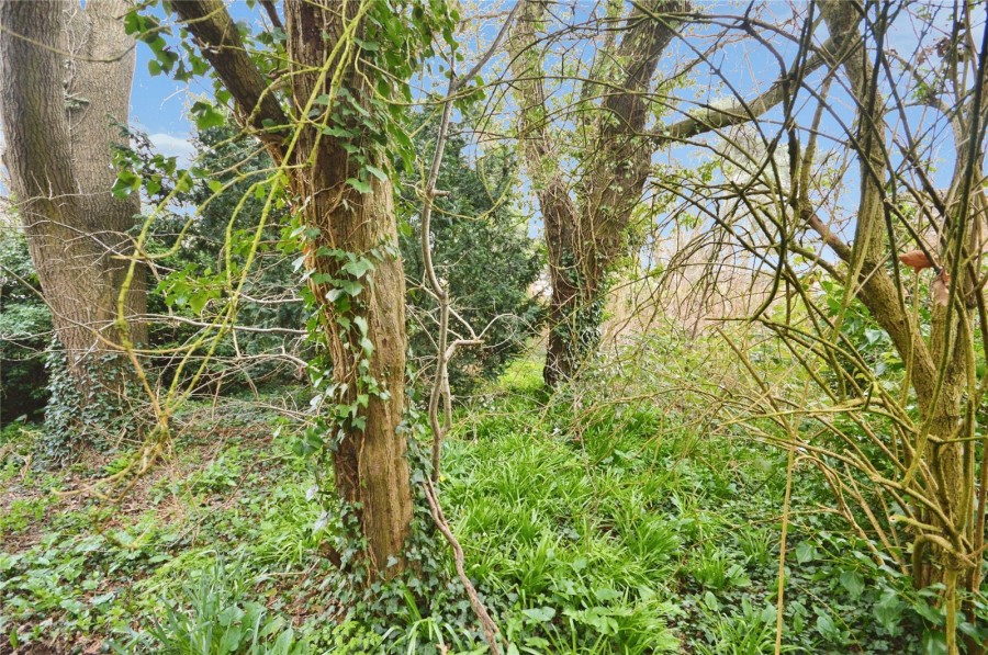 Bishop's Stortford, Hertfordshire