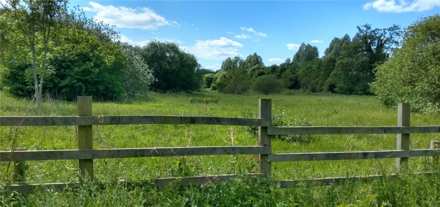 Adjacent To Pishiobury Park, Sawbridgeworth, Hertfordshire