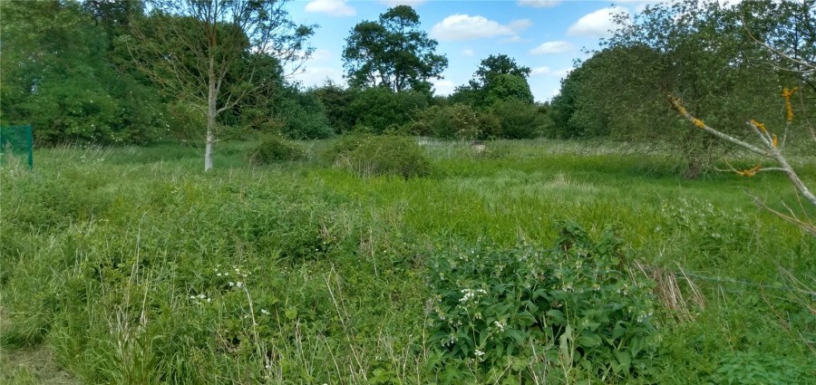 Adjacent To Pishiobury Park, Sawbridgeworth, Hertfordshire