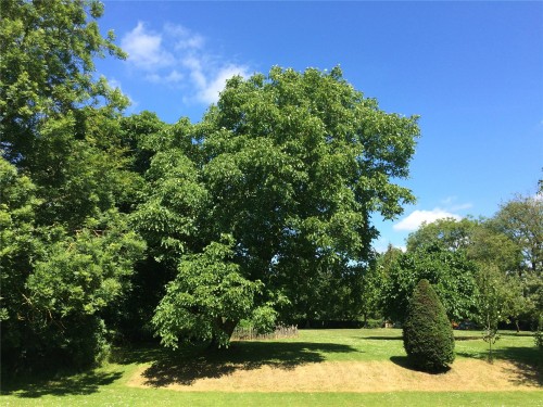 Green Tye, Much Hadham, Hertfordshire