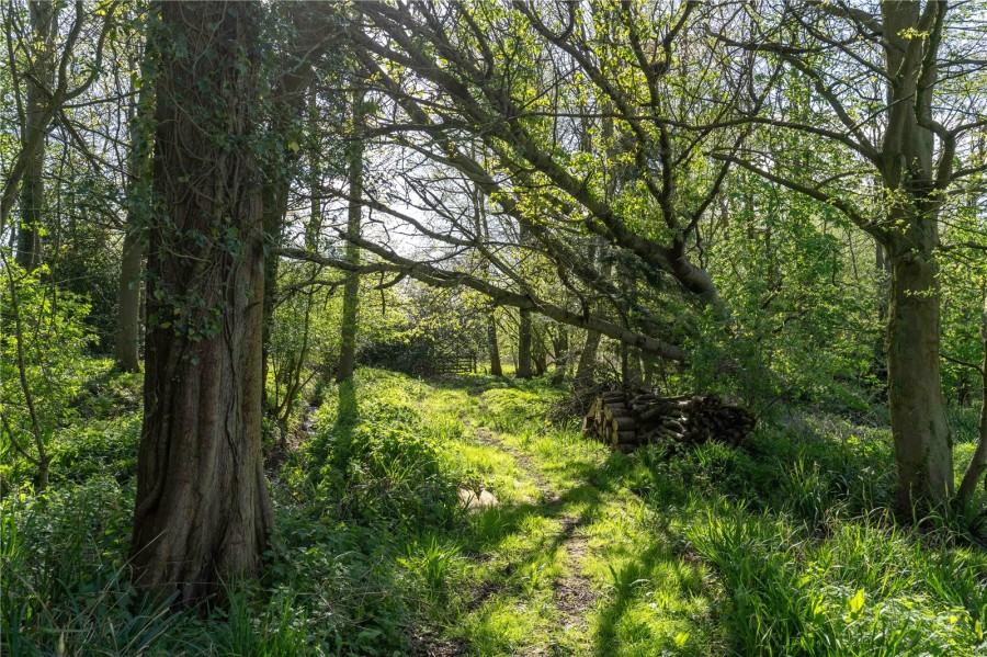 High Easter Road, Barnston, Great Dunmow