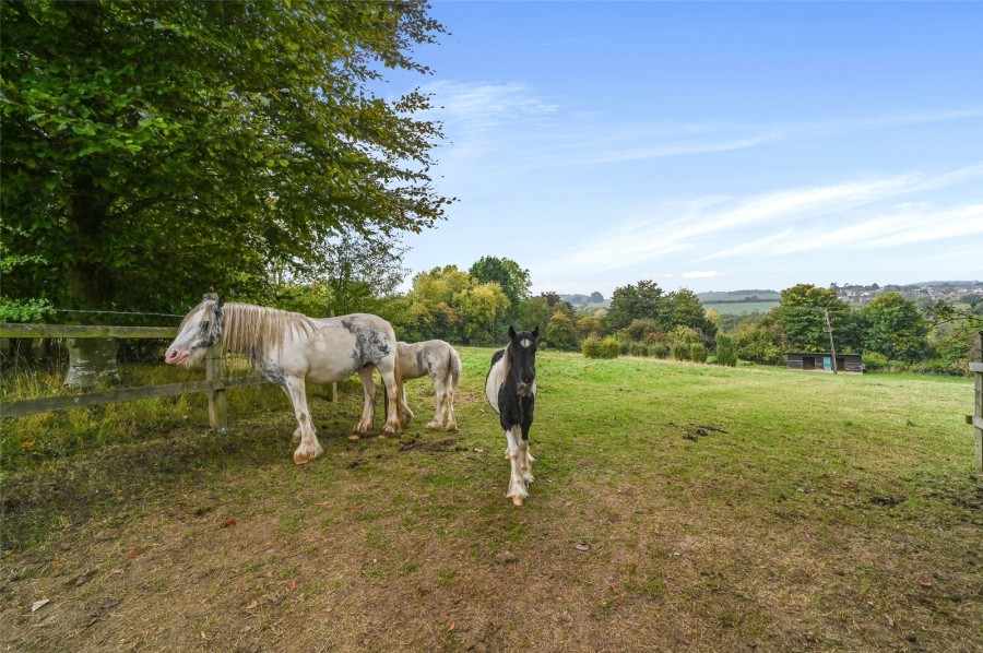 Stortford Road, Standon, Hertfordshire