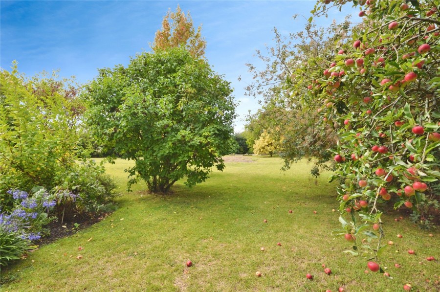 Buntingford, Hertfordshire