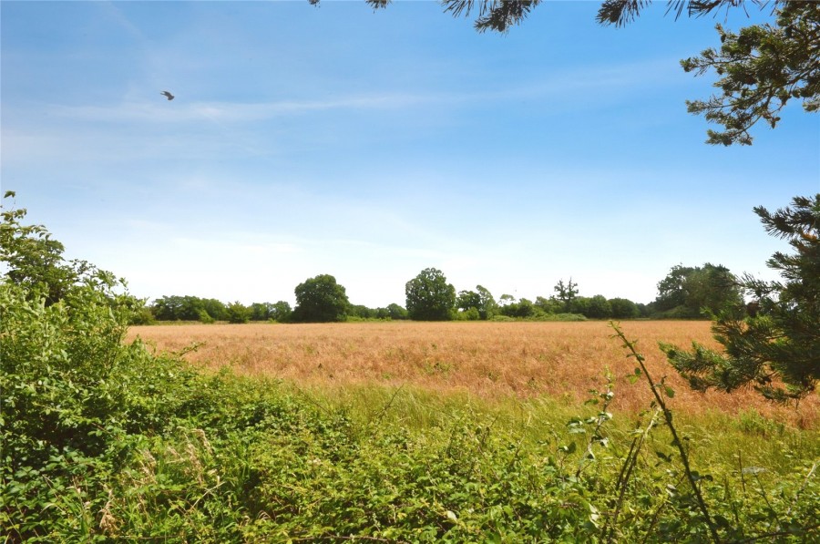 Buntingford, Hertfordshire