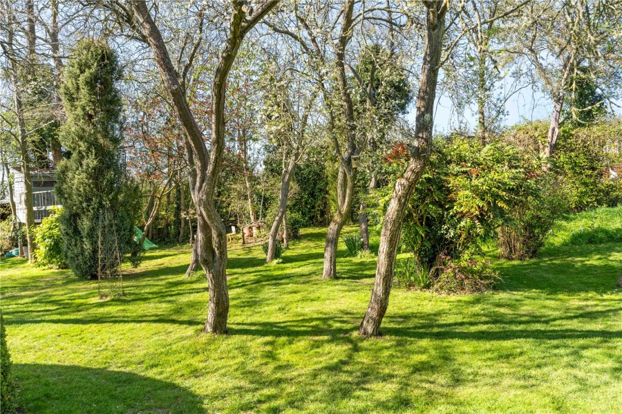 Nr Saffron Walden, Essex