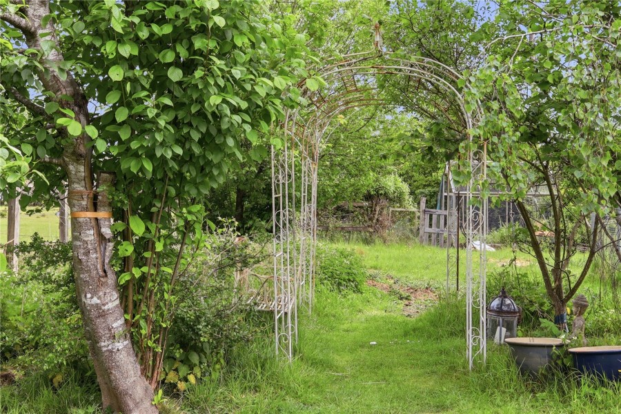 Nr Saffron Walden, Essex