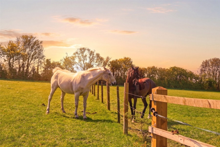 Radwinter, Saffron Walden, Essex