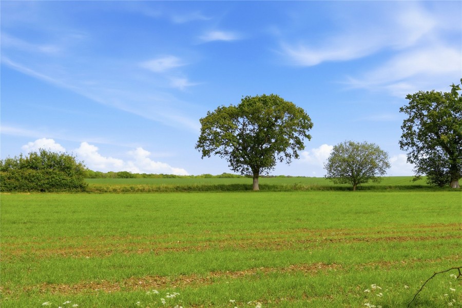 Debden, Nr Saffron Walden, Essex