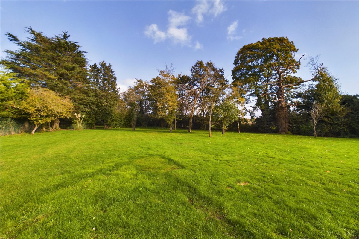 Padworth Common, Reading, Berkshire