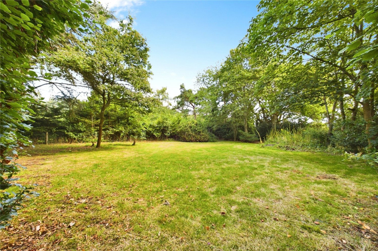 Padworth Common, Reading, Berkshire