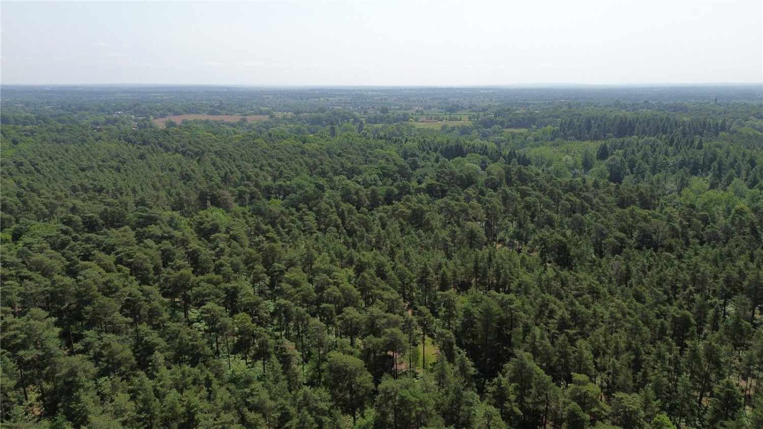 Burghfield Common, Reading, Berkshire