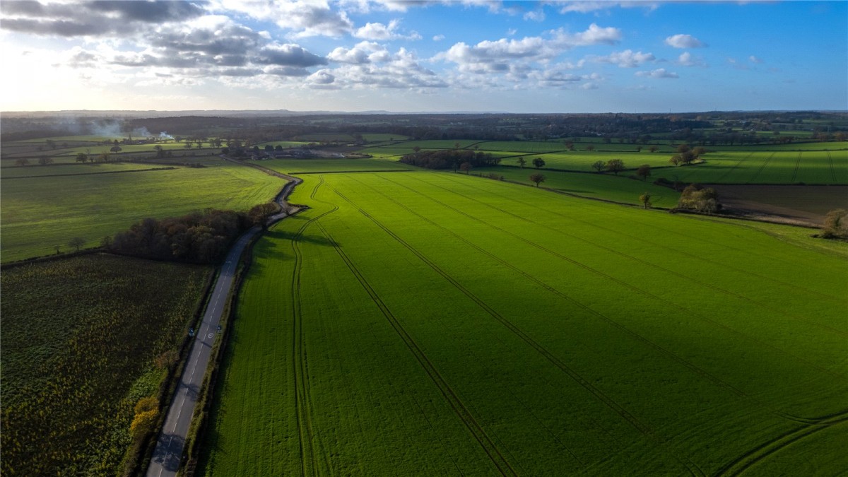 Beech Hill, Reading, Berkshire