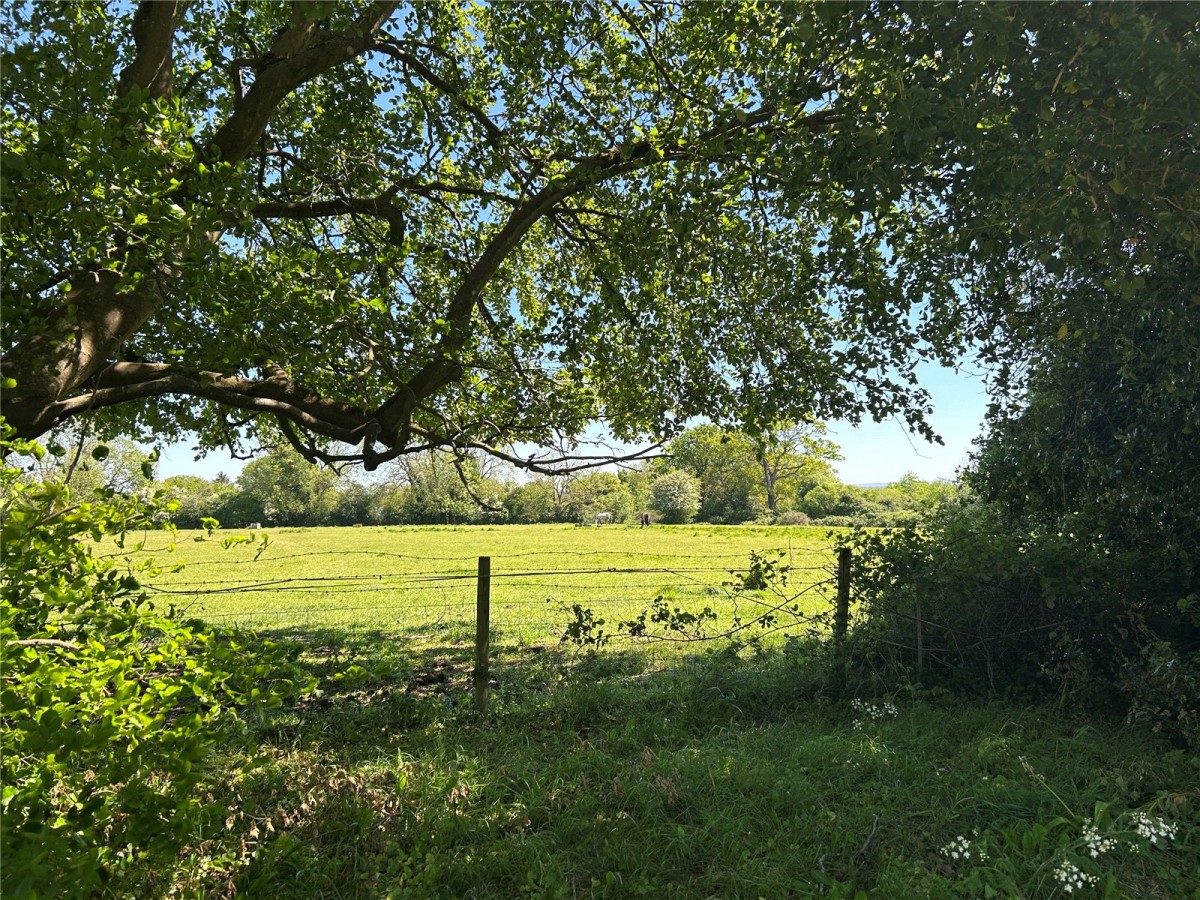 Mortimer Common, Reading, Berkshire