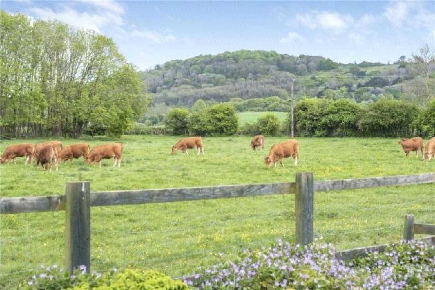 Chinnor, Oxfordshire