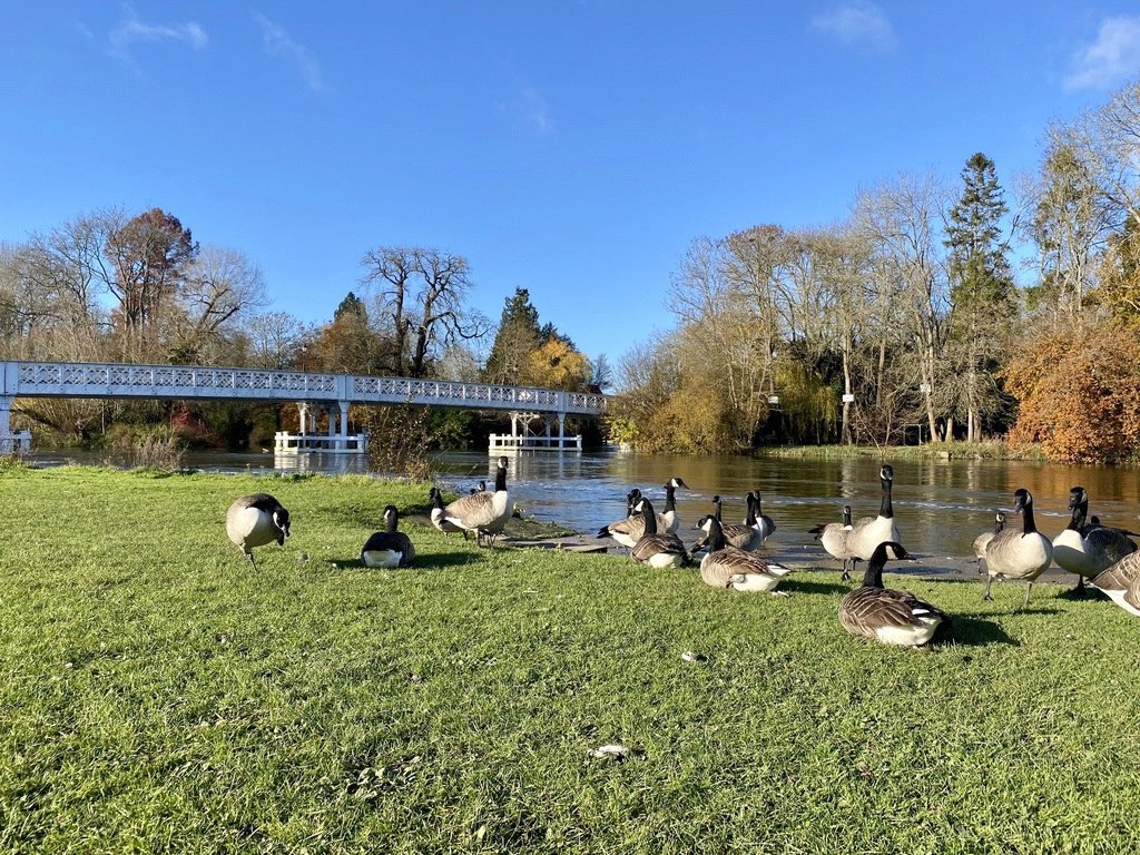 3 bedroom House for sale in Pangbourne, Reading, Berkshire