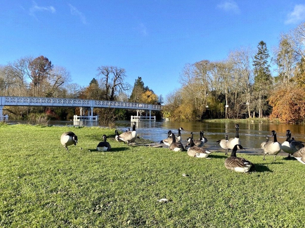 Whitchurch Road, Pangbourne, Reading