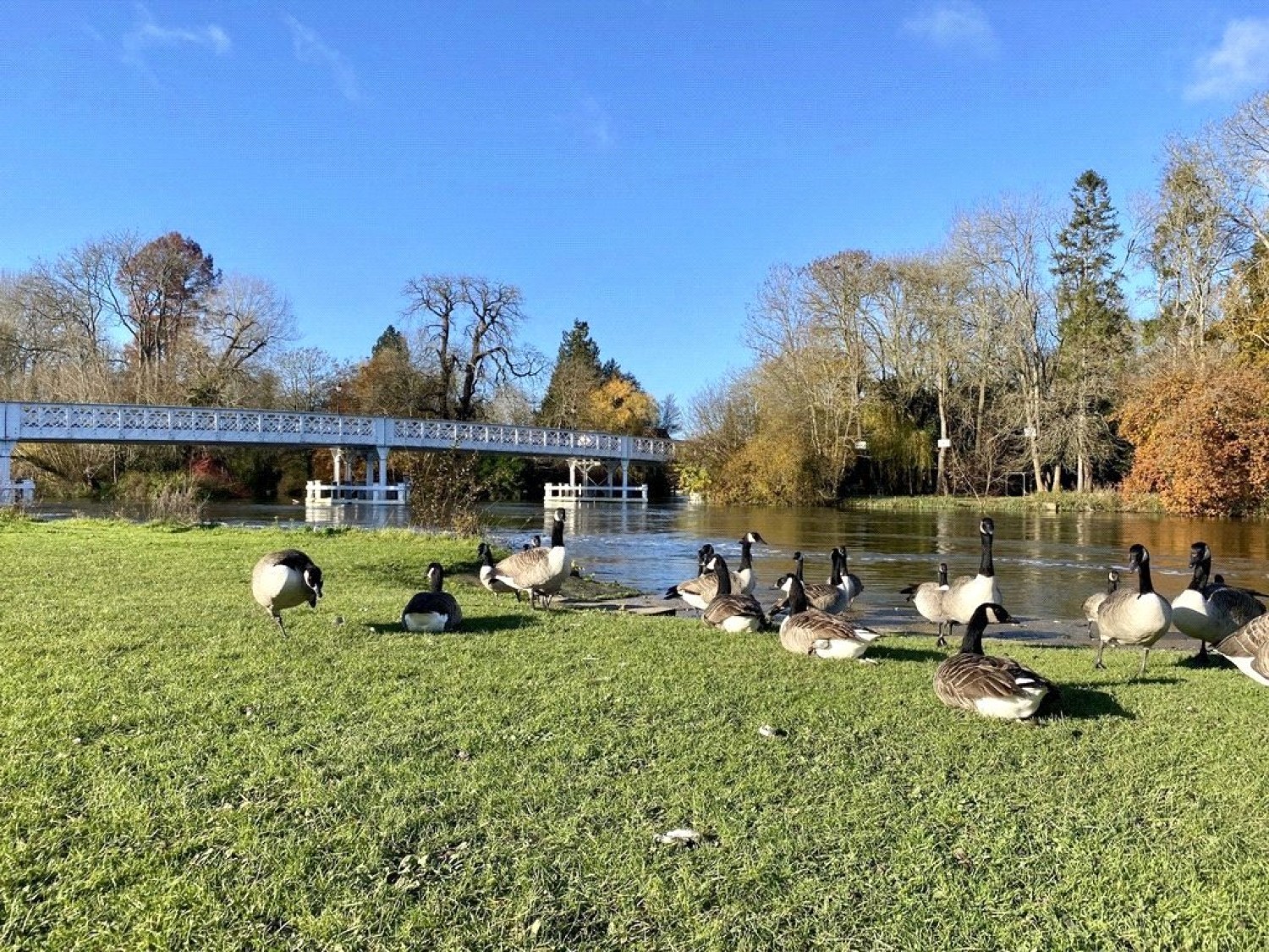 Whitchurch Road, Pangbourne, Reading