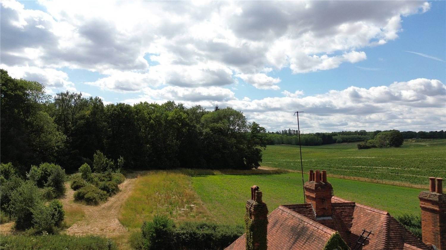 Ashampstead Common, Reading, Berkshire