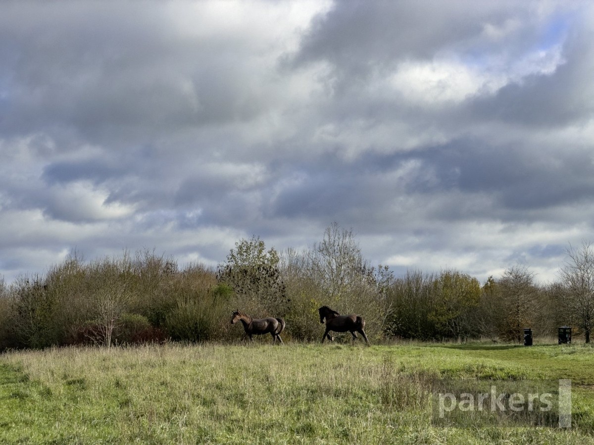 Shilton Park, Carterton, Oxfordshire