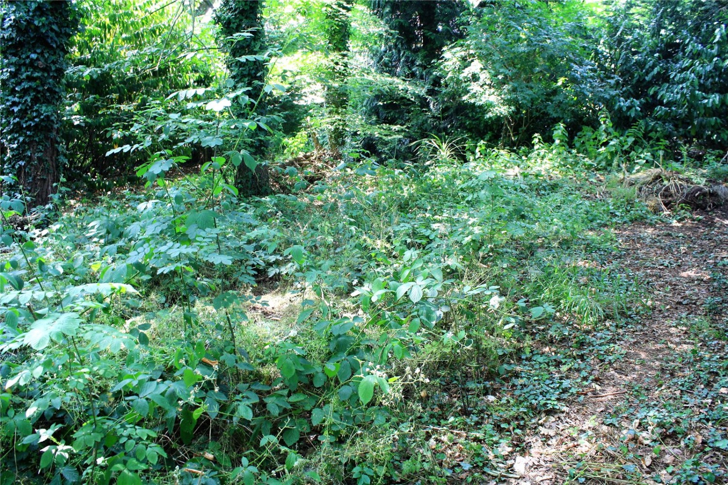 Woodley, Reading, Berkshire