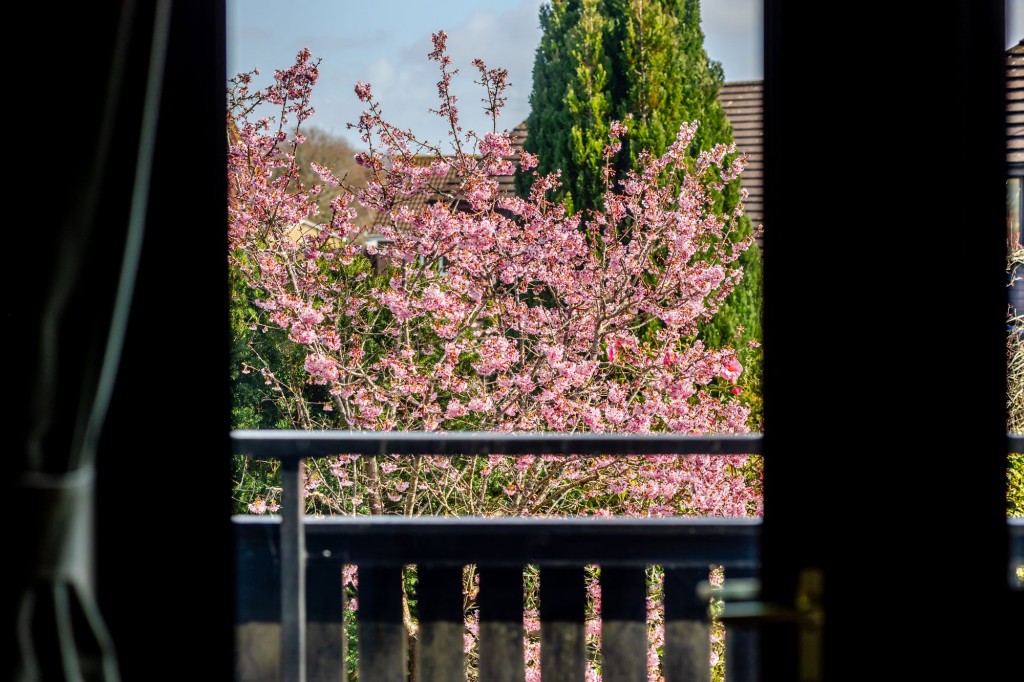 Ashvale Close, Nailsea, BS48