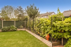 Venus Street, Congresbury, BS49