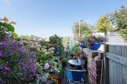 Tennyson Avenue, Read, Lancashire, BB12